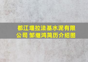 都江堰拉法基水泥有限公司 邹继鸿简历介绍图